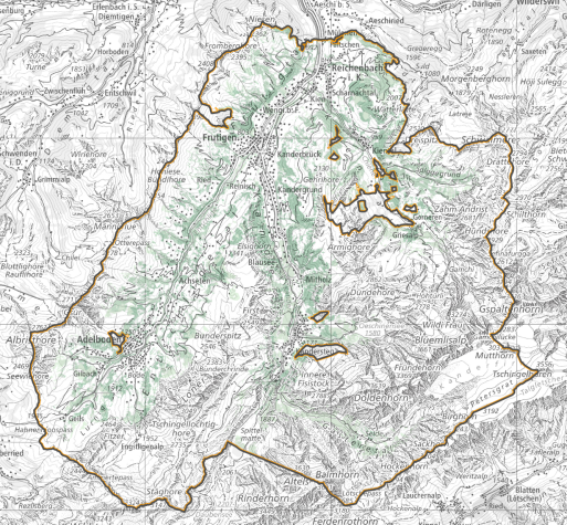 Revier Forst Frutigland